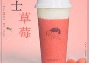 球速体育：芝士草莓